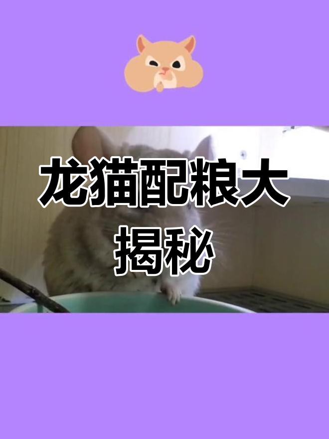 如何科學地飼養龍貓？，《如何科學地飼養龍貓》