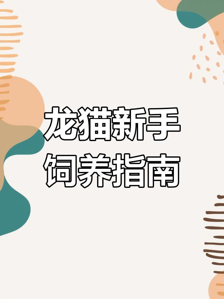 如何科學地飼養龍貓？，《如何科學地飼養龍貓》 如何科學地飼養龍貓？，《如何科學地飼養龍貓》 龍魚論壇 第8張