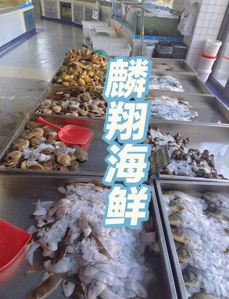朝陽龍魚店，北京朝陽龍魚服務（跨區域參考）:美味與實惠兼備 朝陽龍魚店，北京朝陽龍魚服務（跨區域參考）:美味與實惠兼備 全國水族館企業名錄 第4張
