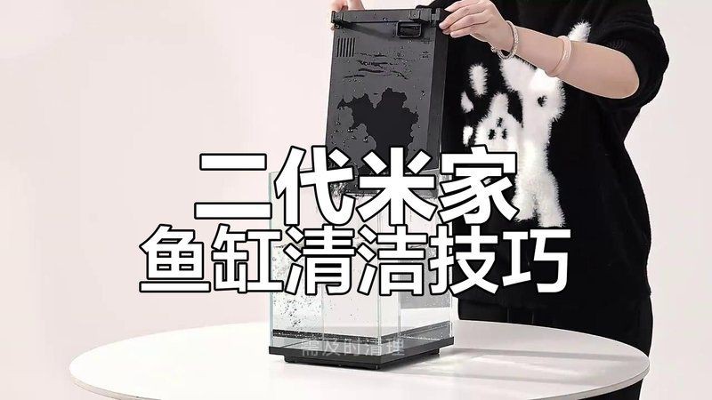 沈陽(yáng)魚(yú)缸維護(hù)，沈陽(yáng)魚(yú)缸專業(yè)維護(hù)全攻略