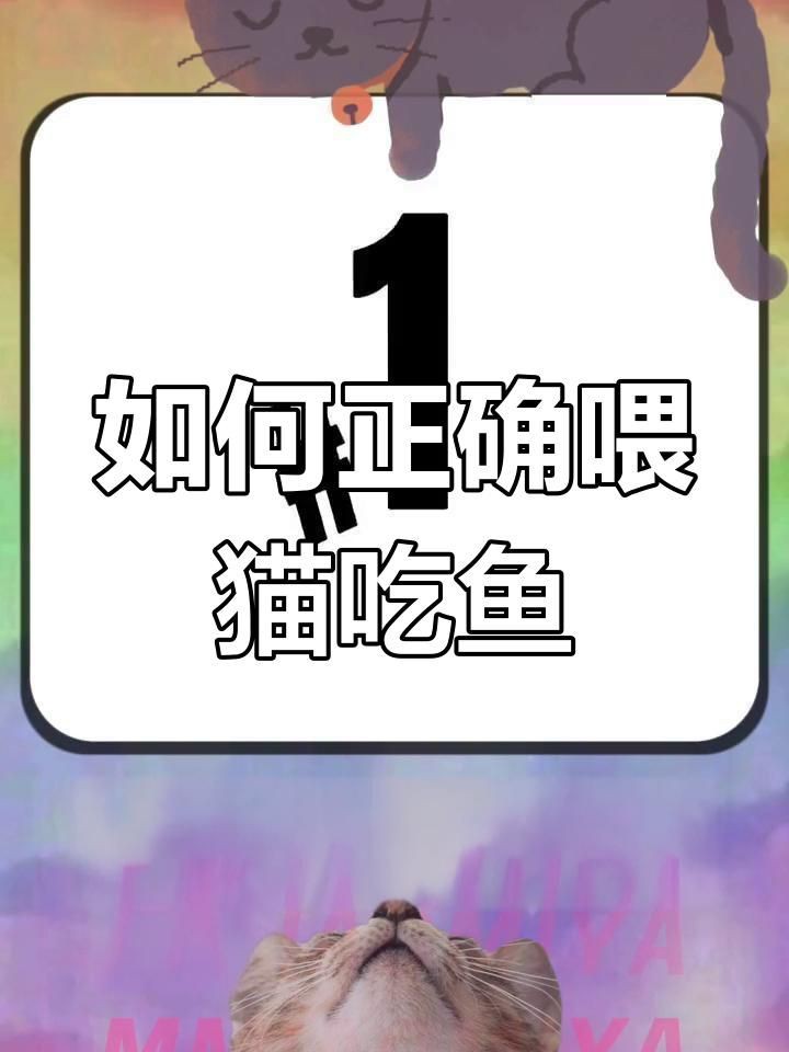貓是不是什么魚都可以吃，貓是不是什么魚都可以吃嗎貓咪可以吃什么魚都能吃嗎