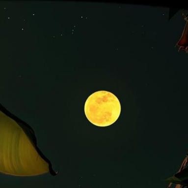 阿里水族店，開設阿里水族店綜合分析與經營方案