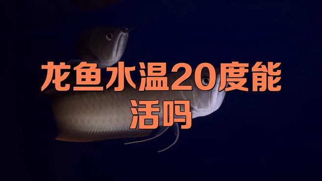 哪些因素會影響龍魚體溫？，影響龍魚體溫的因素