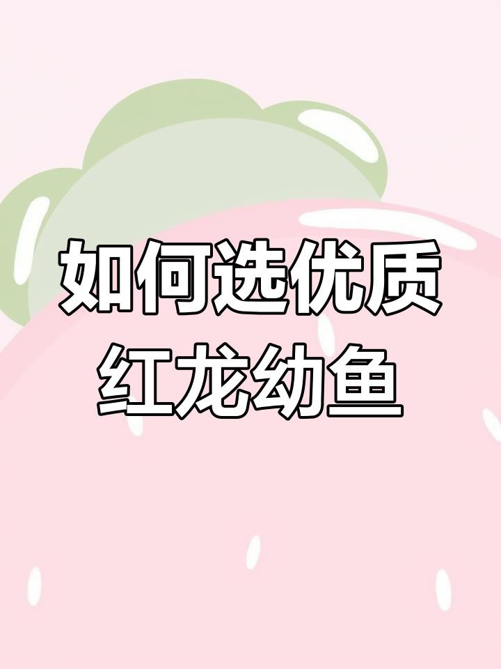 如何挑選辣椒紅龍魚的幼魚？，如何挑選紅龍魚幼魚