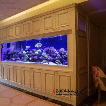 泰州魚缸定做，泰州大型觀賞魚缸定制 泰州魚缸定做，泰州大型觀賞魚缸定制 全國水族館企業(yè)名錄 第1張