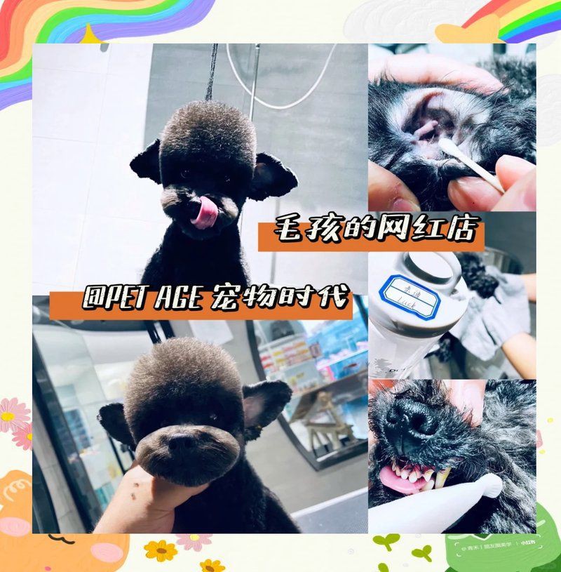 邯鄲魚(yú)缸店，邯鄲開(kāi)發(fā)區(qū)好運(yùn)來(lái)生態(tài)魚(yú)缸專(zhuān)賣(mài)店