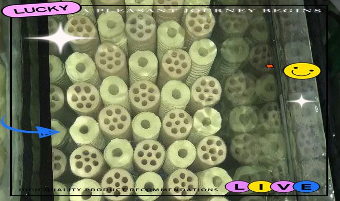 桂林魚缸維護，桂林地區魚缸維護全攻略