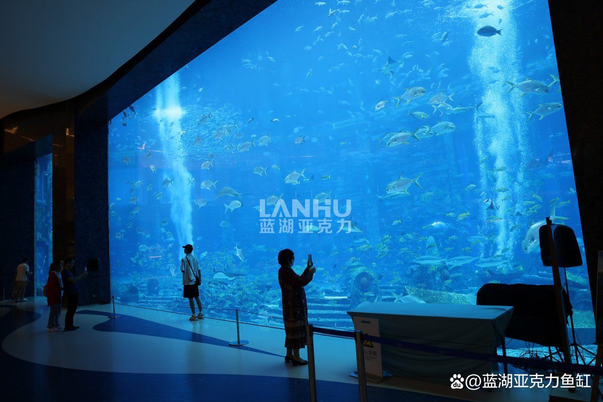 濮陽魚缸定做，濮陽地區的魚缸定做服務日益專業化與多樣化與多樣化