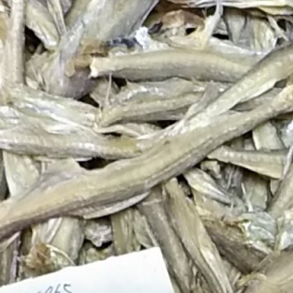 哪里可以查詢紅龍魚實時行情？，紅龍魚的市場價格波動大嗎？