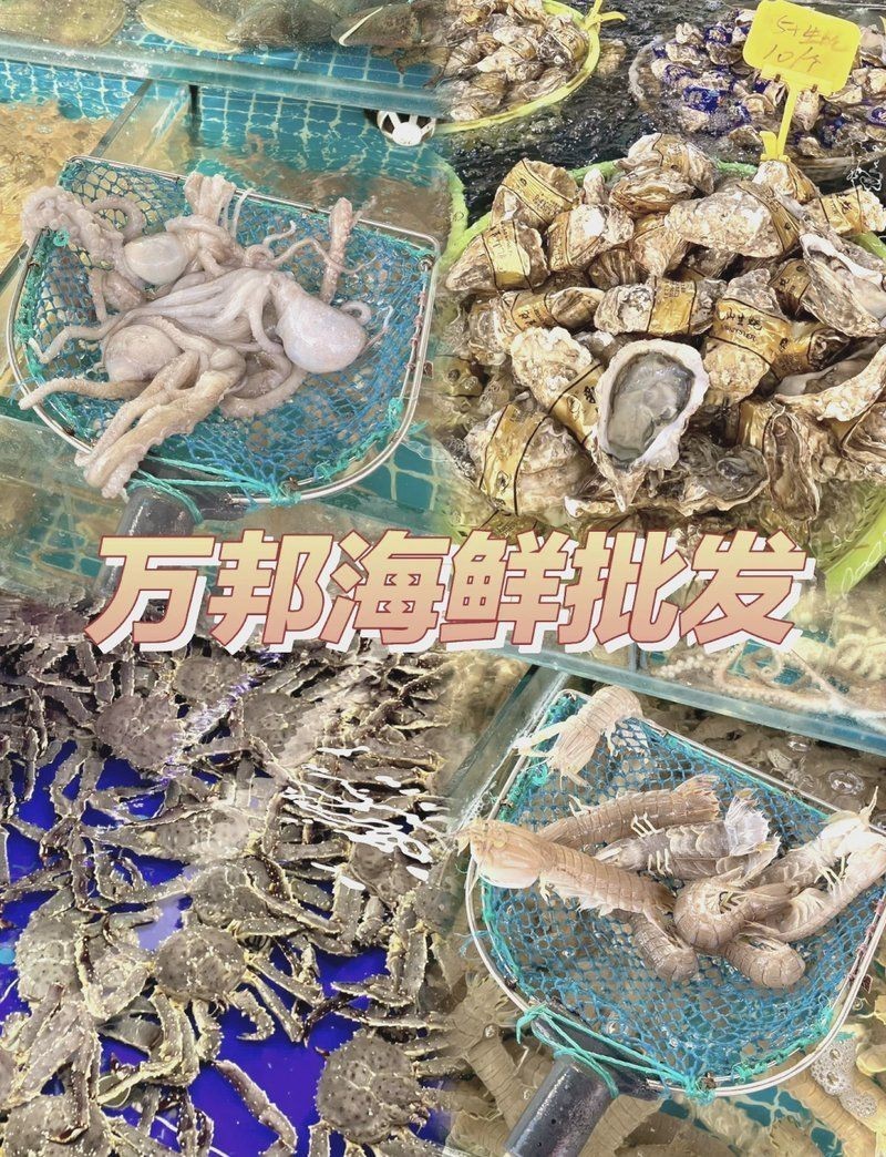 鄭州水族批發市場，鄭州哪里有水族市場