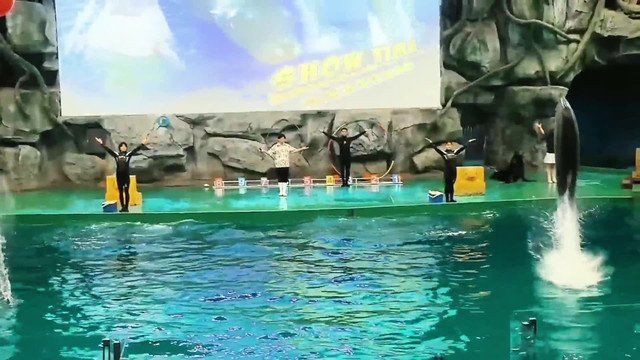 威海水族館，親子游學(xué)的絕佳處所——威海