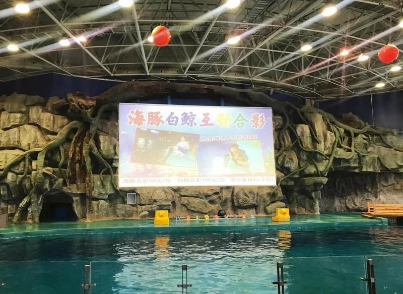 威海水族館，親子游學(xué)的絕佳處所——威海