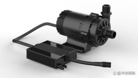 盤錦魚缸維護(hù)，百度文庫(kù)家庭魚缸維護(hù)攻略:盤錦魚缸全方位維護(hù)指南