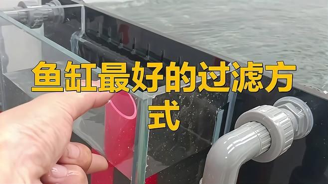目前魚缸最好的過濾方式，《目前魚缸最好的過濾方式》