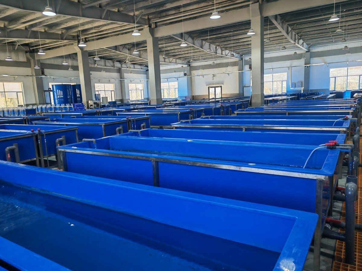 黃南藏族自治州魚缸維護，黃南藏族自治州魚缸生態(tài)維護