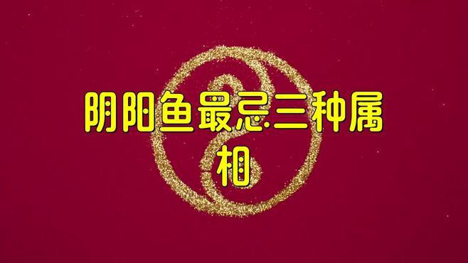 哪些生肖的人不適合養龍魚？，哪些生肖不適合養龍魚？