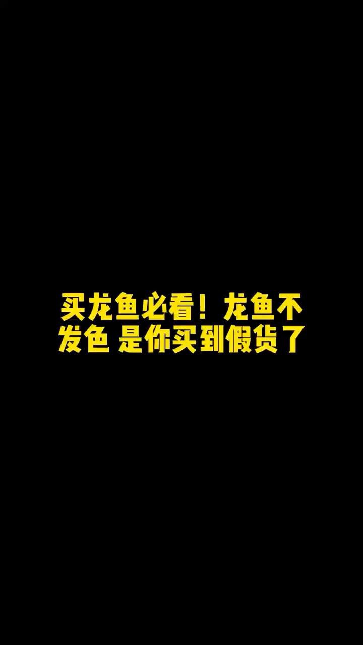 如何判斷龍魚的血統純正？，如何判斷龍魚的血統純正