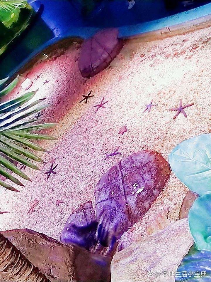 臨沂河東水族店，臨沂市河東區(qū)主要水族店綜合信息