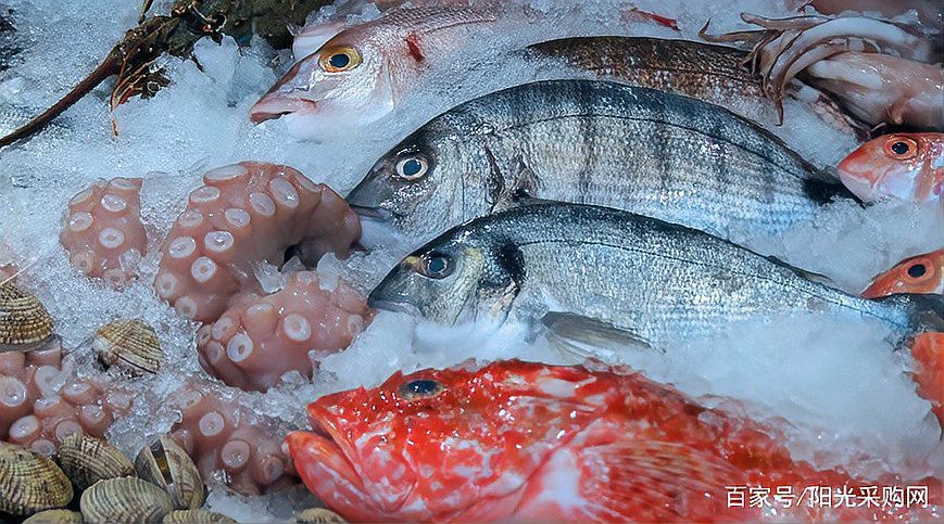 如何判斷福龍魚是否新鮮？，_生活百科】選購淡水鮮魚有妙招