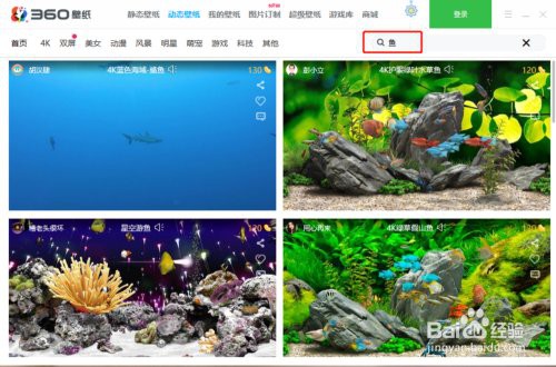 如何設置龍魚壁紙為電腦背景？，如何設置龍魚壁紙為電腦背景