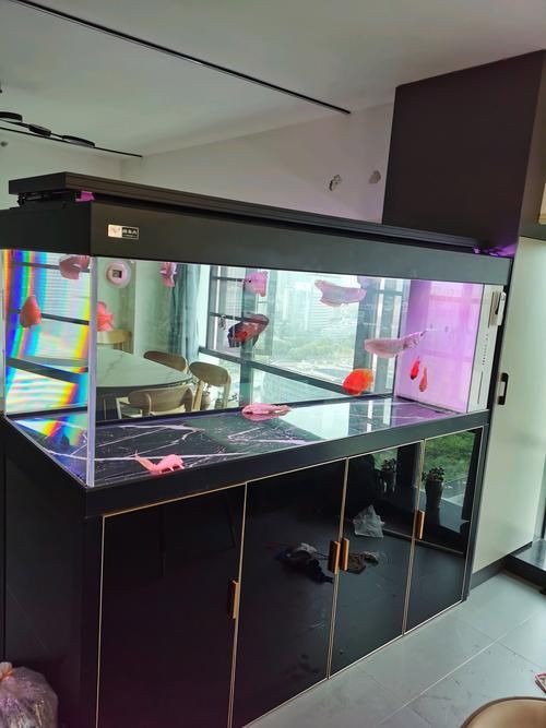 各種魚缸圖片，6種絕美魚缸造景全攻略6種絕美魚缸造景全攻略 各種魚缸圖片，6種絕美魚缸造景全攻略6種絕美魚缸造景全攻略 全國水族館企業名錄 第9張