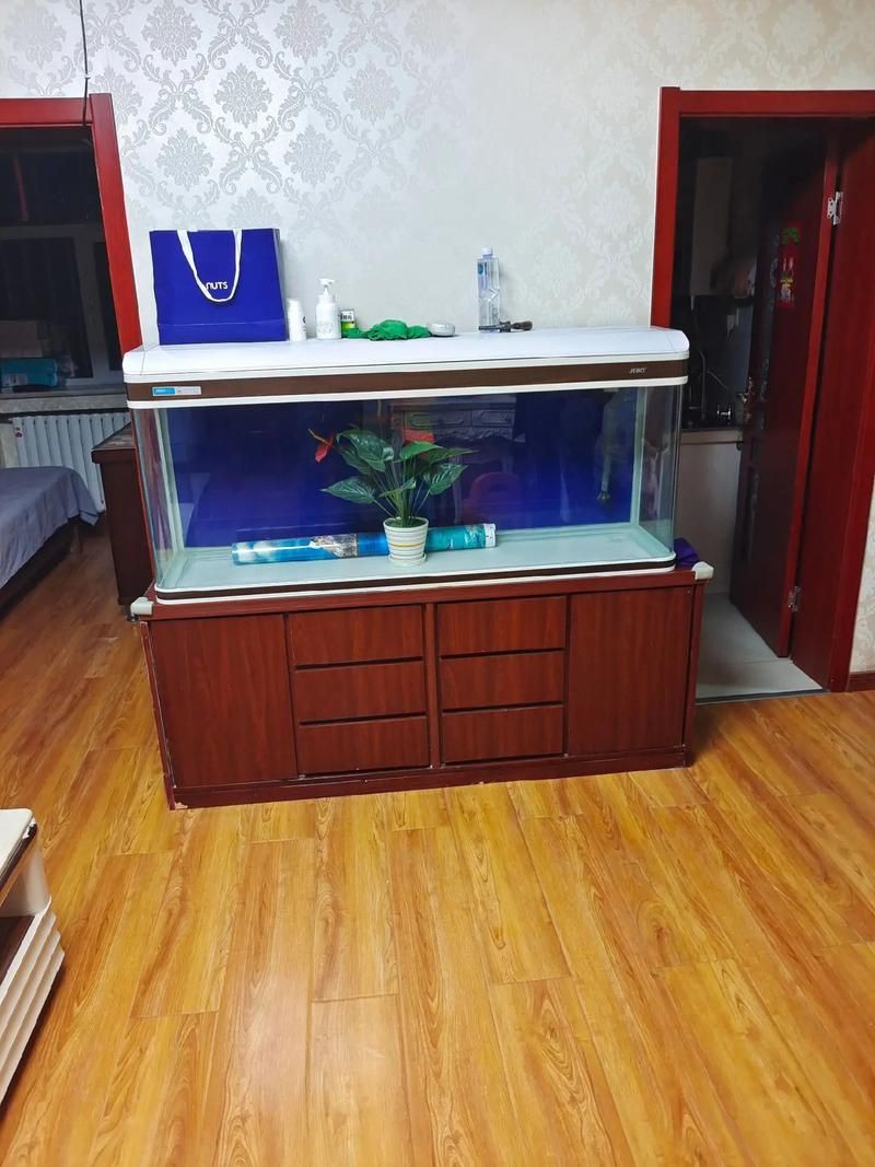 各種魚缸圖片，6種絕美魚缸造景全攻略6種絕美魚缸造景全攻略 各種魚缸圖片，6種絕美魚缸造景全攻略6種絕美魚缸造景全攻略 全國水族館企業名錄 第1張