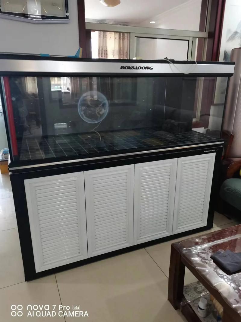 各種魚缸圖片，6種絕美魚缸造景全攻略6種絕美魚缸造景全攻略 各種魚缸圖片，6種絕美魚缸造景全攻略6種絕美魚缸造景全攻略 全國水族館企業名錄 第8張