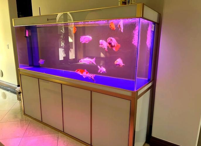 各種魚缸圖片，6種絕美魚缸造景全攻略6種絕美魚缸造景全攻略 各種魚缸圖片，6種絕美魚缸造景全攻略6種絕美魚缸造景全攻略 全國水族館企業名錄 第4張