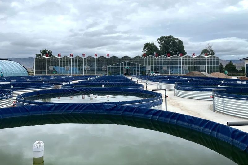 天水水族批發(fā)市場，天水水族批發(fā)市場是什么？
