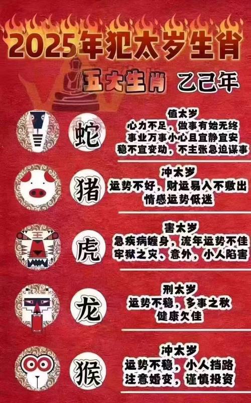 五行龍的選擇有哪些禁忌？，《五行龍的選擇禁忌》