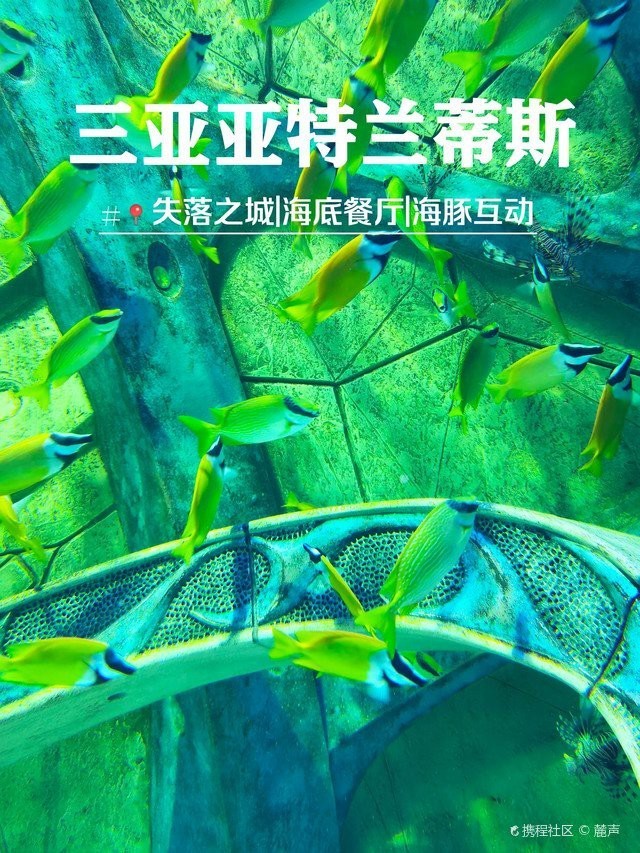 三亞水族店，三亞亞特蘭蒂斯失落的空間水族館