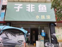 宜豐水族店，宜豐縣有哪些水族店？