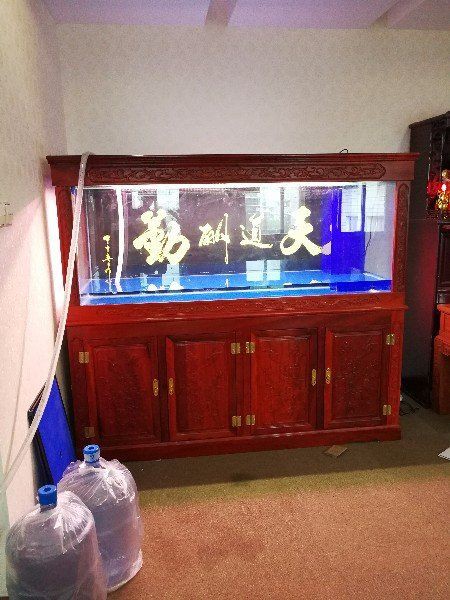 龍巖水族批發市場，龍巖水族批發市場是當地重要的水產及觀賞魚交易平臺