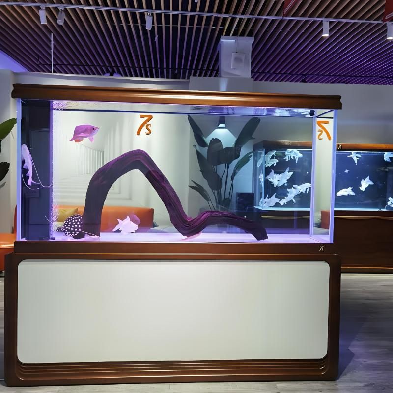 駐馬店魚缸定做，駐馬店地區的魚缸定做服務涵蓋多種類型包括觀賞魚缸、溪流缸等