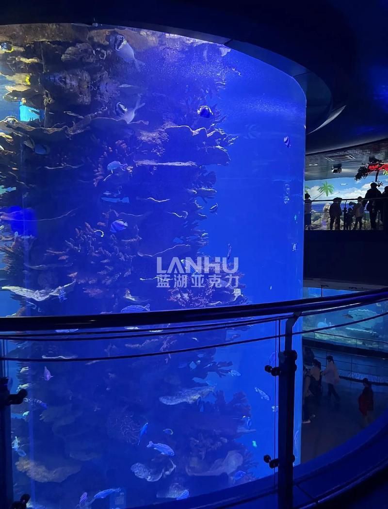 楚雄彝族自治州魚缸維護，楚雄彝族自治州的魚缸維護