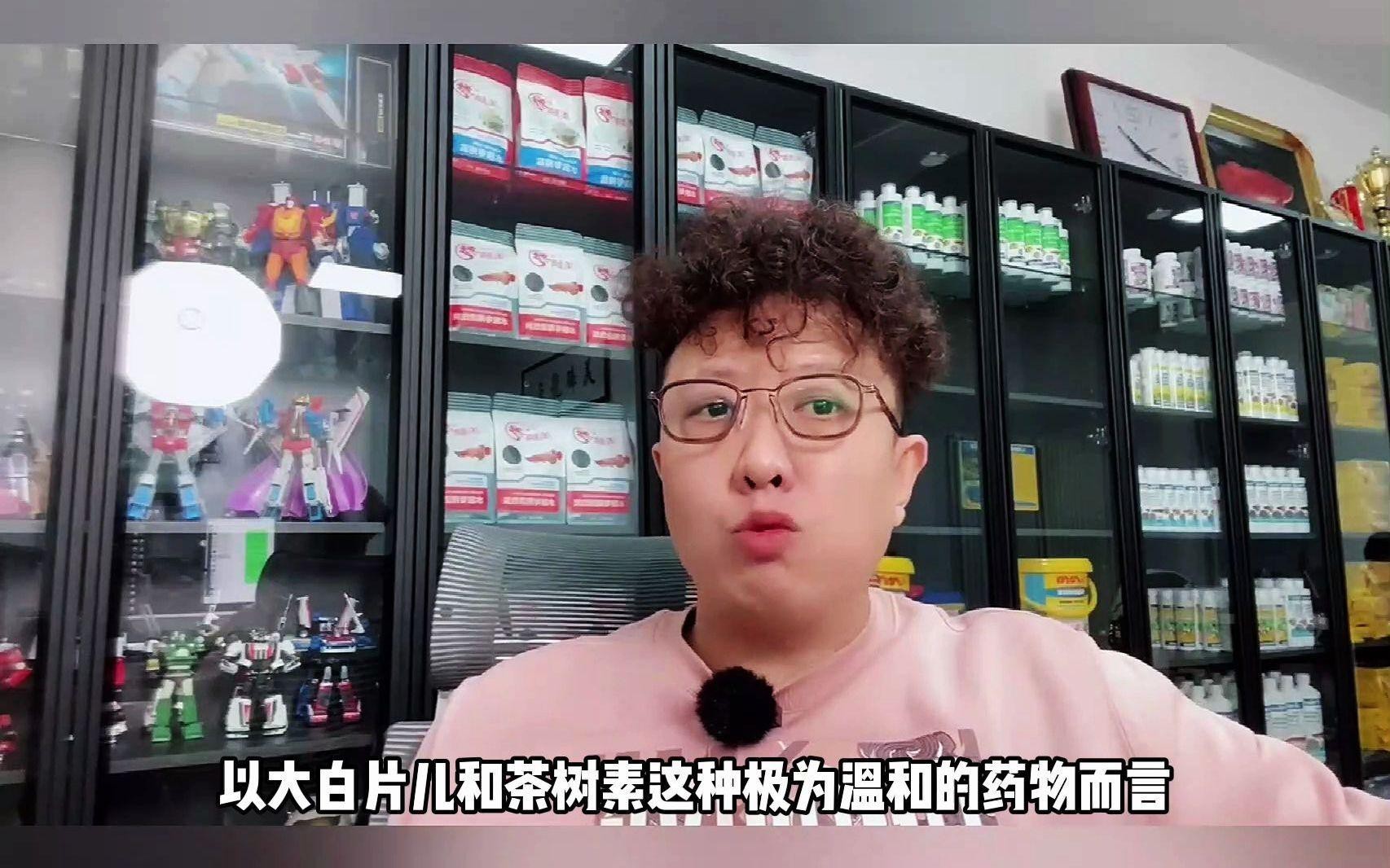 哪些藥物對龍魚是安全的？，《哪些藥物對龍魚是安全的？》