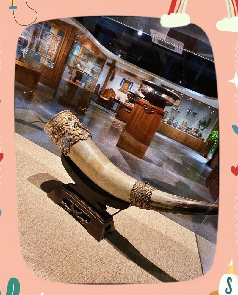 鄂爾多斯龍魚店，開個龍魚店需要多少錢