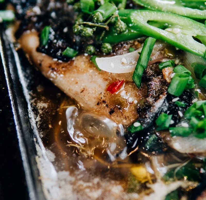 惠陽龍魚店，惠陽區淡水曉龍魚檔