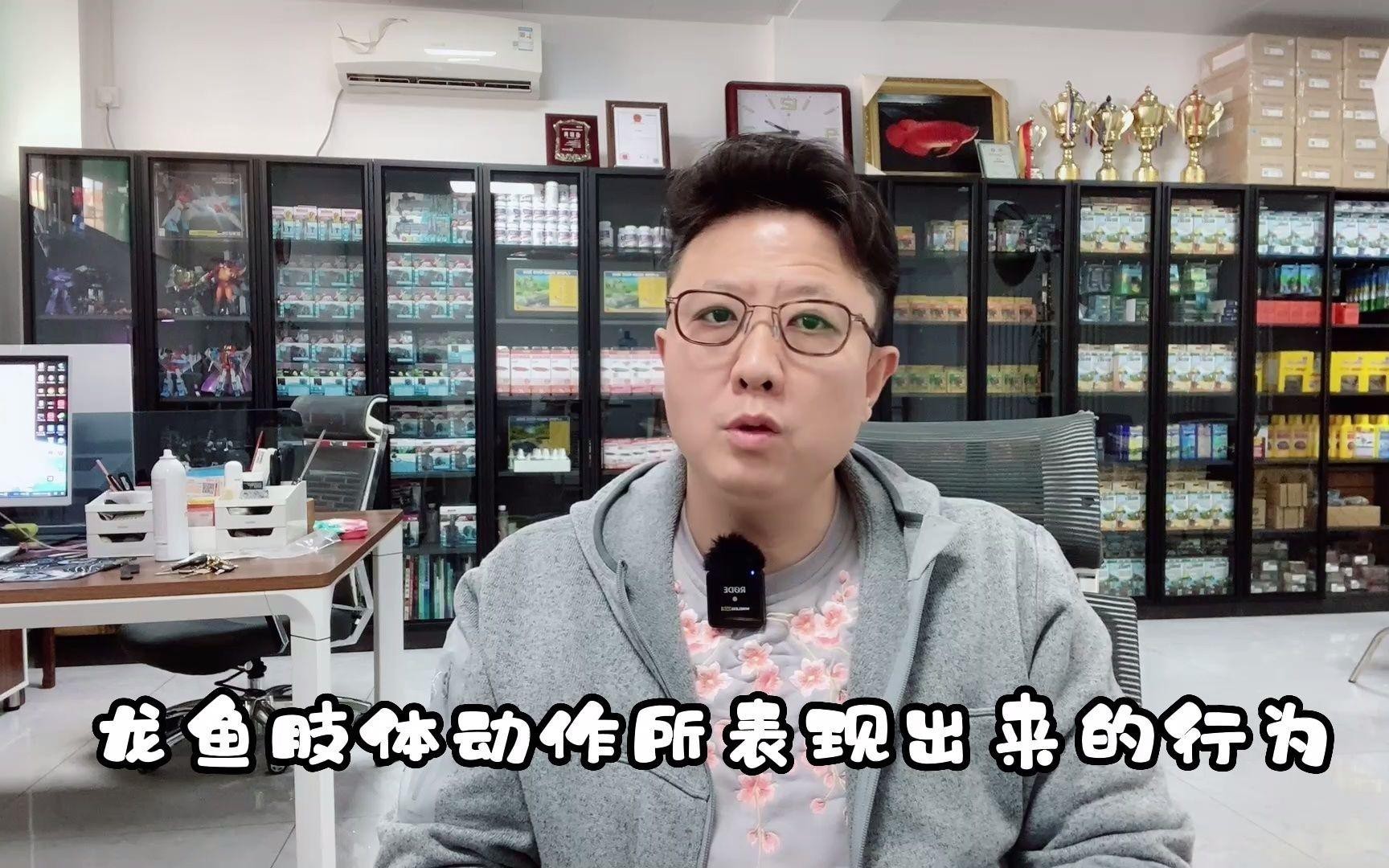 如何觀察龍魚的行為？，《如何觀察龍魚的行為》