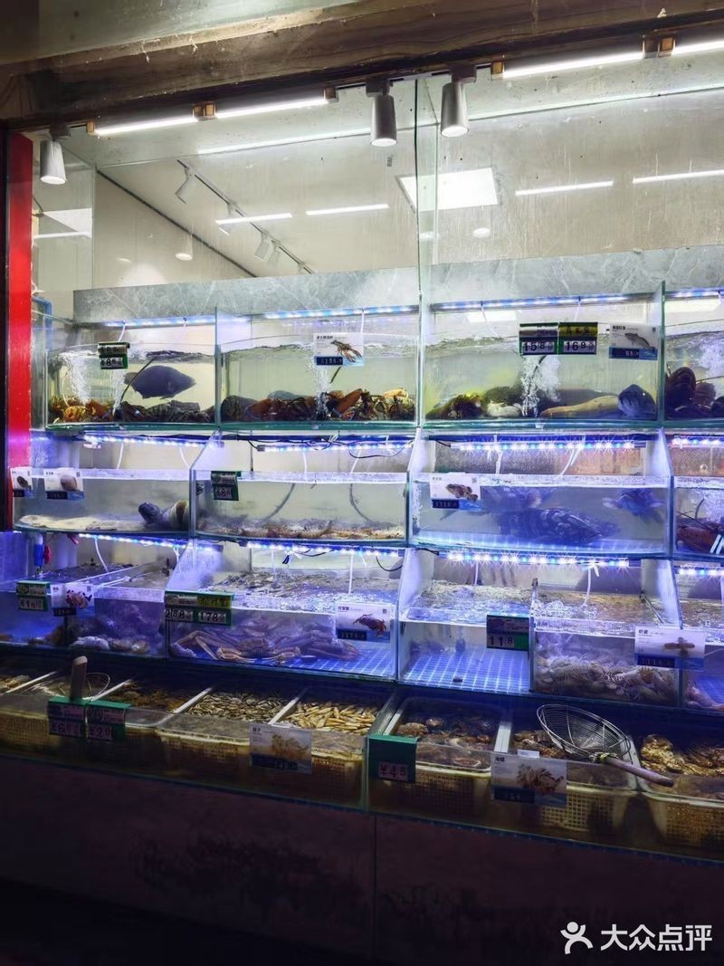 連云港龍魚店，連云港市新浦金龍魚水族館