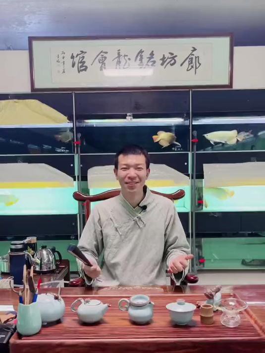 如何判斷鳳凰紅龍魚的品質？，鳳凰紅龍魚如何挑選優質紅龍魚掌握這些關鍵點辨別方法 如何判斷鳳凰紅龍魚的品質？，鳳凰紅龍魚如何挑選優質紅龍魚掌握這些關鍵點辨別方法 龍魚百科 第5張