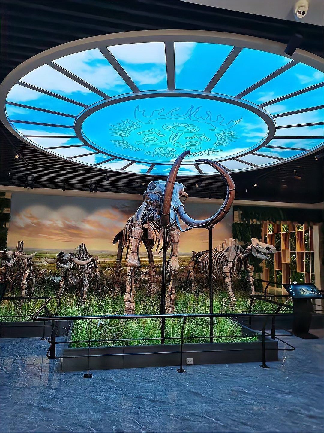 同江龍魚店，同江的特色魚館