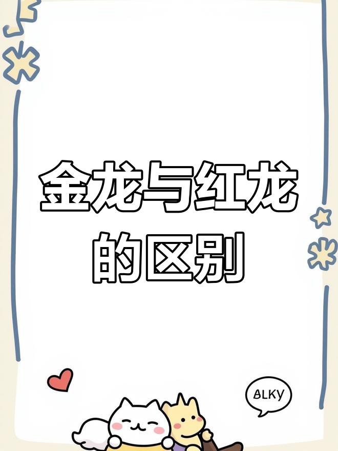 古典金龍和紅龍的區(qū)別，古典金龍和紅龍有什么區(qū)別