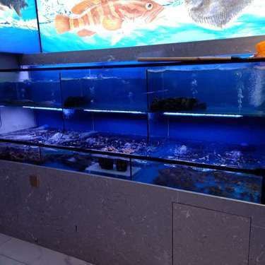 湘西土家族苗族自治州魚缸維護，湘西土家族苗族自治州的魚缸維護