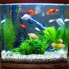 熱帶觀賞魚飼養(yǎng)技巧，《熱帶觀賞魚飼養(yǎng)技巧》