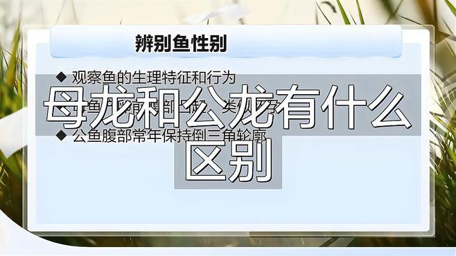 如何判斷金龍魚是否性成熟？，判斷金龍魚是否性成熟需綜合多方面特征龍魚公母分辨全攻略