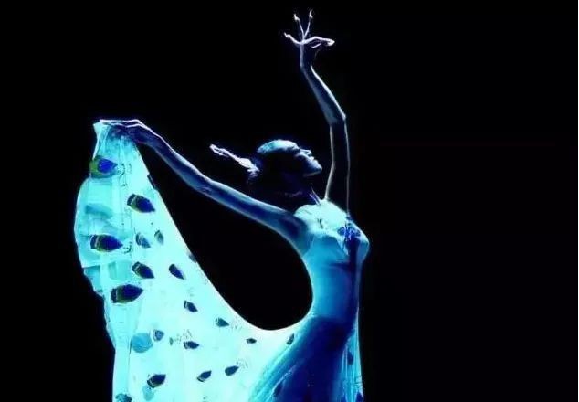 國家二級保護(hù)蝴蝶名錄，《國家二級保護(hù)蝴蝶名錄》 國家二級保護(hù)蝴蝶名錄，《國家二級保護(hù)蝴蝶名錄》 全國水族館企業(yè)名錄 第9張