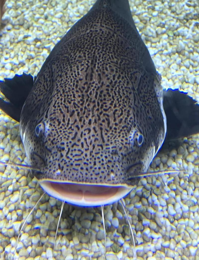 東湖水族店，東湖海洋世界有哪些特色展館