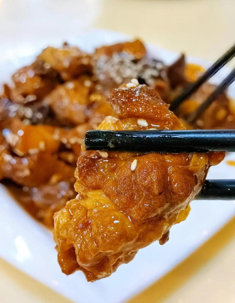 五指山龍魚店，五指山有沒有龍魚店 五指山龍魚店，五指山有沒有龍魚店 全國水族館企業(yè)名錄 第2張