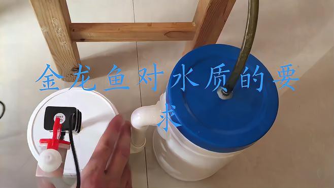 養龍魚需要哪些水質參數？，愛寵顧問龍魚飼養技巧：水質管理、換水注意事項全解析